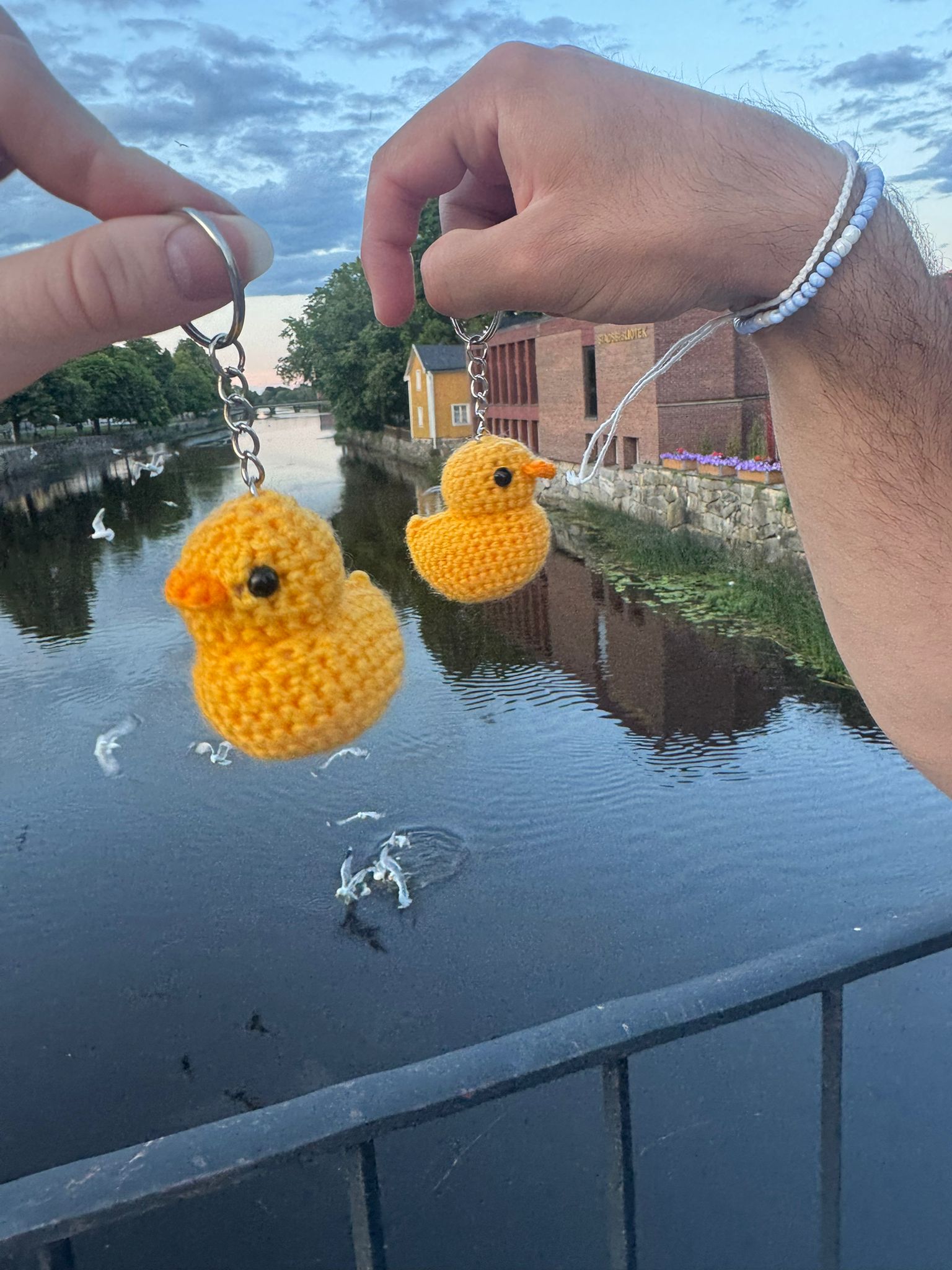Two small yellow ducks